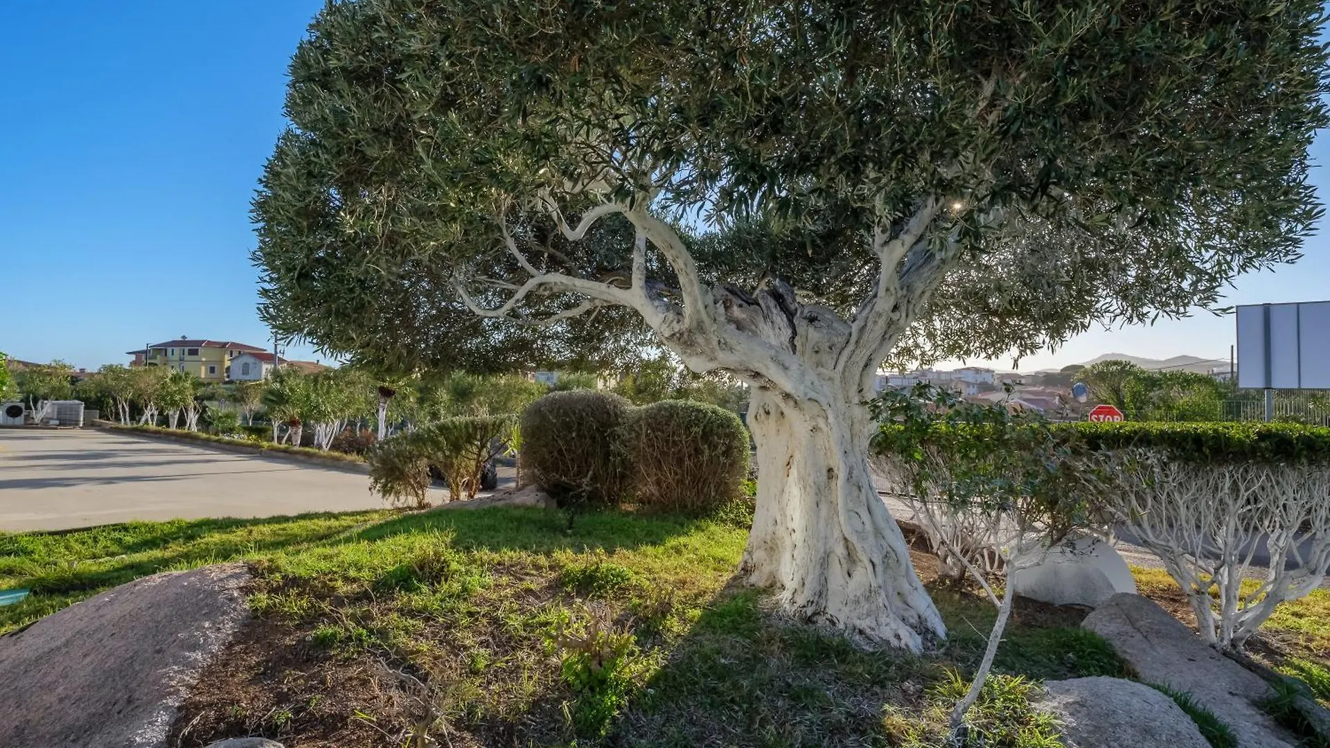 Villa Marconi Apartment 8 Golfo Aranci